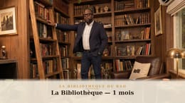 La Bibliothèque du Bao — La Bibliothèque (1 mois)