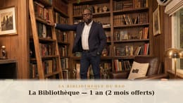 La Bibliothèque du Bao — La Bibliothèque (1 an — 2 mois offerts)