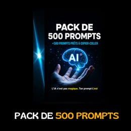 PACK DE 500 PROMPTS