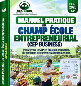 MANUEL PRATIQUE BUSINESS FAMER