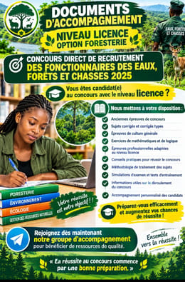 Guide d'accompagnement Niveau licence