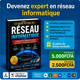 Le guide ultime du réseau informatique : 8 modules pour maîtriser le réseau informatique