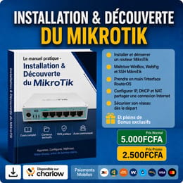 Installation et Découverte du MikroTik — Module 1/5 : Maîtrisez les Bases et Démarrez comme un Pro