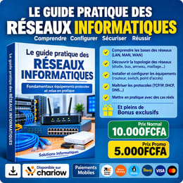 13 Chapitres Essentiels pour Devenir Technicien Réseau : -PDF à téléchargez Immediatement