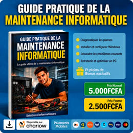 Guide complet de la maintenance informatique : diagnostiquer et réparer un PC en 14 modules (PDF)