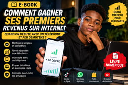Premiers revenus sur internets