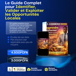 Entreprendre en Afrique: Méthode Pro pour Convertir les Défis Locaux en Business