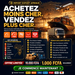 IMPORT EXPORT AFRIQUE