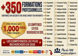 MEGA RESSOURCES + 350 FORMATIONS ET LOGICIELS AVEC DROIT DE REVENTE