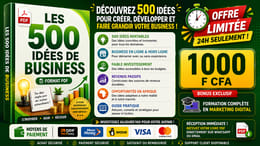 LES 500 IDEES DE BUSINESS format PDF