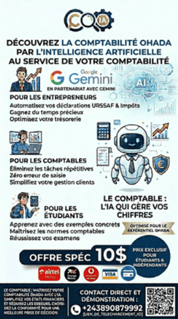 Maîtrise de la comptabilité ohada prenium