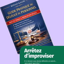 Réussir sa mission de délégué du personnel : Guide pratique du Délégué