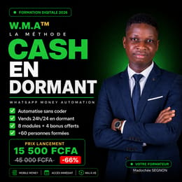 WhatsApp Money Automation -Cash en Dormant