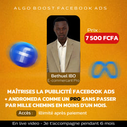 ALGO Boost Facebook Ads