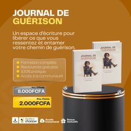 Journal de guérison