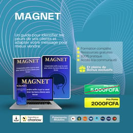 MAGNET: Attirez Les Bons Clients Facilement Sans Effort