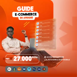 Guide E-commerce en Afrique