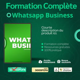 Guide complet WhatsApp Business