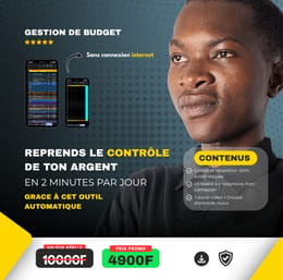 Outil de Gestion de Budget Automatique (Hors Connexion)
