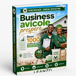 Business Avicole Prospere - Elever 1000 Poulets de Chair sans Pertes
