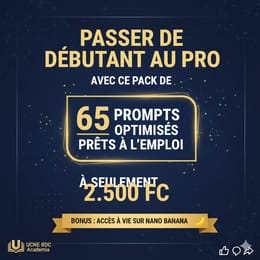 65 prompts optimisés