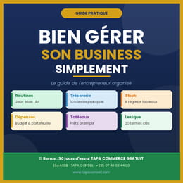 GUIDE PRATIQUE POUR BIEN GERER SON BUSINESS