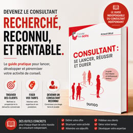 Consultant : se lancer, réussir et durer