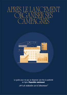 Après le Lancement — Organiser ses Campagnes Facebook Ads