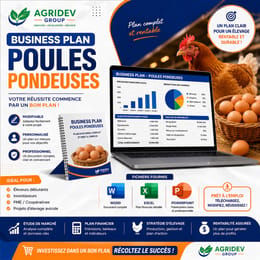 Business plan - élevage de poules pondeuses