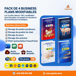 Pack Business Plans Bancables: 4 Modèles Professionnels Approuvés par les Banques