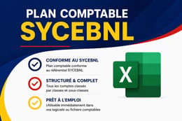 Plan comptable SYCEBNL