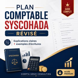 plan comptable SYSCOHADA REVISE AVEC EXEMPLE POUR CHAQUE COMPTE