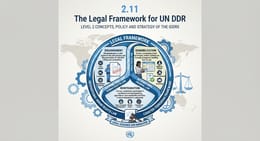 The Legal Framework for UN DDR
