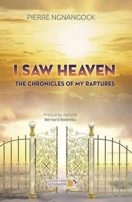 I SAW HEAVEN : The chronicles of my raptures