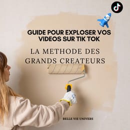 Guide Complet pour Booster tes vidéos sur TIK TOK : La Méthode des Grands créateurs de percent
