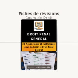 Pack Cours Droit Pénal Général - 20 Fiches de Révision | Programme Afrique  Francophone