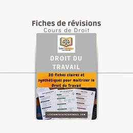 Pack Cours Droit du Travail - 20 Fiches de Révision | Programme Afrique  Francophone