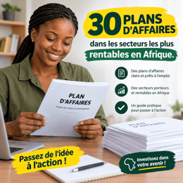 30 Plans D'affaires dans les secteurs les plus rentables en Afrique.