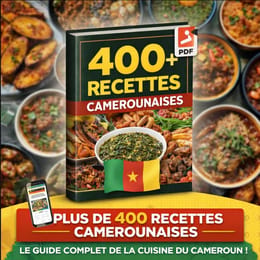 400 recettes camerounaise