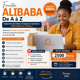 🚢 IMPORTEZ FACILEMENT AVEC ALIBABA + PUBLICITE FACEBOOK ET LANCER UN BUSINESS RENTABLE
