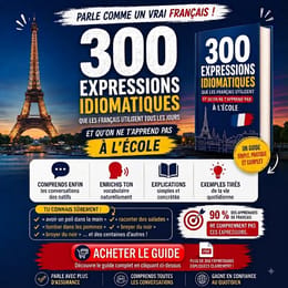 300 Expressions pour parler comme un pro