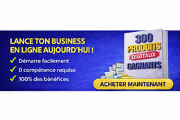 Pak 300 idées  de business produits digitaux