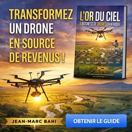 L‘or du ciel 6 idées de business drone en Afrique
