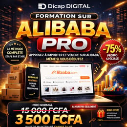 Formation Alibaba - Acheter en Chine sans arnaque et recevez vos colis en Afrique