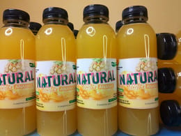 FORMATION SUR LA PRODUCTION ET LA CONSERVATION DES JUS DE FRUITS (Formation complète)