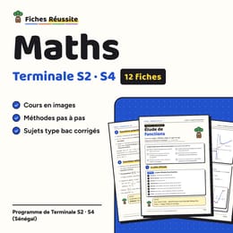 Maths Terminale S2 / S4 – 12 fiches de révision illustrées (PDF)