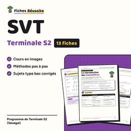 SVT Terminale S2 – 13 fiches de révision illustrées (PDF)