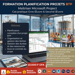 Formation Gestion et Planification de Projets BTP avec MS Project