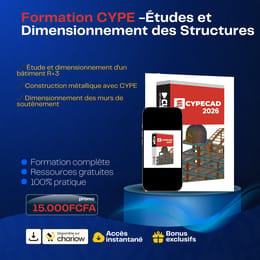 Formation CYPE – Études et Dimensionnement des Structures (Cas Pratiques Professionnels)