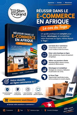 Réussir dans le e-commerce en Afrique : le cas du Togo
